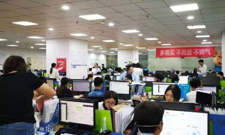 重慶憨牛教育信息咨詢 助力學子實現(xiàn)夢想的專業(yè)導航